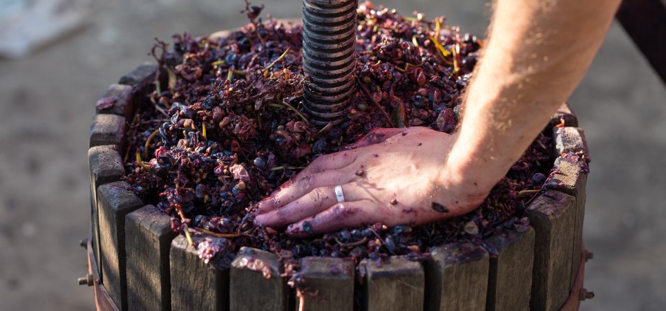 Winemaking Process